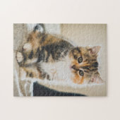 Niedlich Fuzzy Calico Tabby Kitten Cat Foto Puzzle (Horizontal)