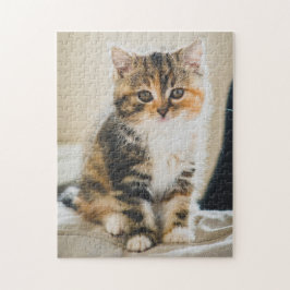Niedlich Fuzzy Calico Tabby Kitten Cat Foto Puzzle