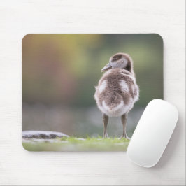 Niedlich Gänseküken Foto Mouse Pad Mousepad