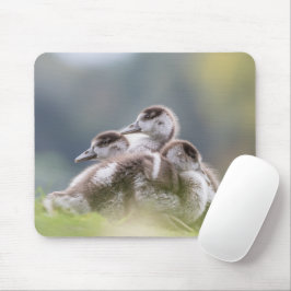 Niedlich Gänseküken Foto Mouse Pad Mousepad
