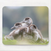 Niedlich Gänseküken Foto Mouse Pad Mousepad (Vorne)