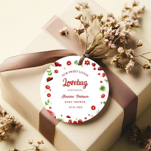 Niedlich Garden kleine Ladybug Babydusche Einladun Geschenkanhänger