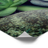 Niedlich Gartenfrosch Sukkulärer Garten Poster (Ecke)