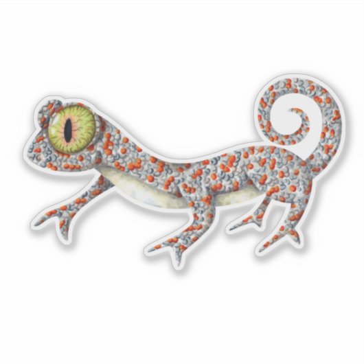 Niedlich Gecko Illustriert Aufkleber (Vorderseite)
