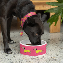 Niedlich Gelbe und rosa Dackel Hund Funny