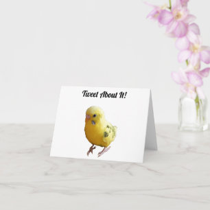 Niedlich-Gelbes Parakeet Freundliches Pet Bird Fot Karte