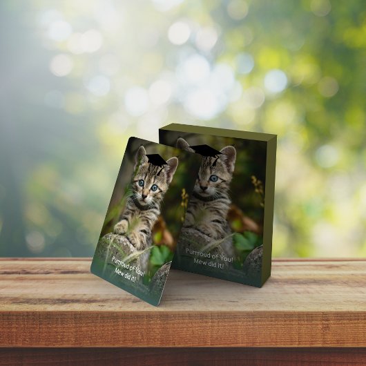 Niedlich Geschlossen Kitten Spielkarten