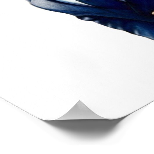 Niedlich Ginger Cat Boss Design Poster (Ecke)