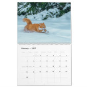 Niedlich Ginger Cat Calendar 2023 Kalender (Feb 2027)