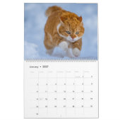 Niedlich Ginger Cat Calendar 2023 Kalender (Jan 2027)