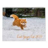 Niedlich Ginger Cat Calendar 2023 Kalender (Titelbild)