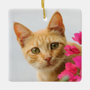 Niedlich Ginger Cat Kitten beobachtet Foto - Keramikornament