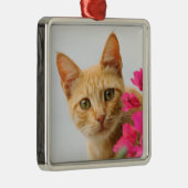 Niedlich Ginger Cat Kitten beobachtet Sie beim Fot Ornament Aus Metall (Rechts)