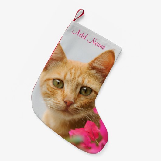 Niedlich Ginger Cat Kitten beobachtet Sie - Kleiner Weihnachtsstrumpf (Vorderansicht (hängend))