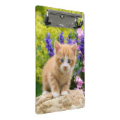 Niedlich Ginger Cat Kitten Blumengarten Portrait o Mini Klemmbrett (Schrägansicht)