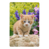 Niedlich Ginger Cat Kitten Blumengarten Portrait o Mini Klemmbrett (Rückseite)