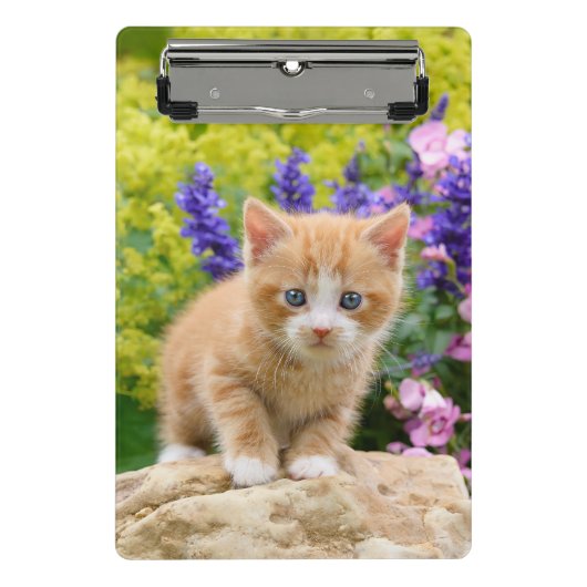 Niedlich Ginger Cat Kitten Blumengarten Portrait o Mini Klemmbrett (Vorderseite)