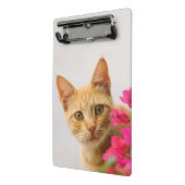 Niedlich Ginger Cat Kitten Foto Personalisiert Mini Klemmbrett (Gewinkelt2)