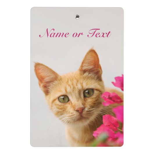 Niedlich Ginger Cat Kitten Foto Personalisiert Mini Klemmbrett (Rückseite)