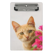 Niedlich Ginger Cat Kitten Foto Personalisiert Mini Klemmbrett (Vorderseite)