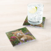 Niedlich Ginger Cat Kitten - Garden Funny Foto - Glasuntersetzer (Schrägansicht)