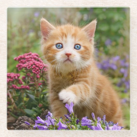 Niedlich Ginger Cat Kitten - Garden Funny Foto - Glasuntersetzer (Vorderseite)