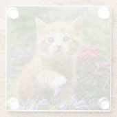 Niedlich Ginger Cat Kitten - Garden Funny Foto - Glasuntersetzer (Rückseite)