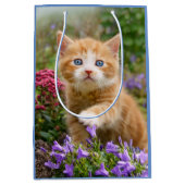 Niedlich Ginger Cat Kitten im Garden Foto Portrait Mittlere Geschenktüte (Vorderseite)