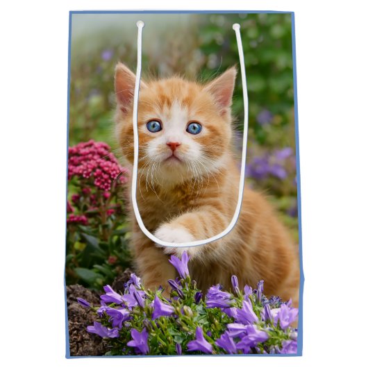 Niedlich Ginger Cat Kitten im Garden Foto Portrait Mittlere Geschenktüte (Rückseite)