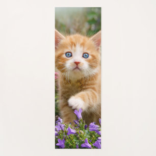 Niedlich Ginger Cat Kitten im Garden Foto Portrait Yogamatte