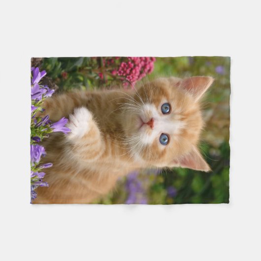 Niedlich Ginger Cat Kitten im Garden Foto - weich Fleecedecke (Vorderseite (Horizontal))