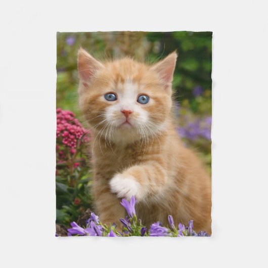 Niedlich Ginger Cat Kitten im Garden Foto - weich Fleecedecke (Vorderseite)