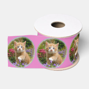 Niedlich Ginger Cat Kitten im Garden Portrait Foto Ripsband