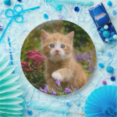 Niedlich Ginger Cat Kitten in a Garden, Happy Part Pappteller (Party)