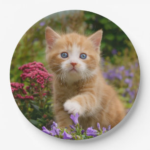 Niedlich Ginger Cat Kitten in a Garden, Happy Part Pappteller