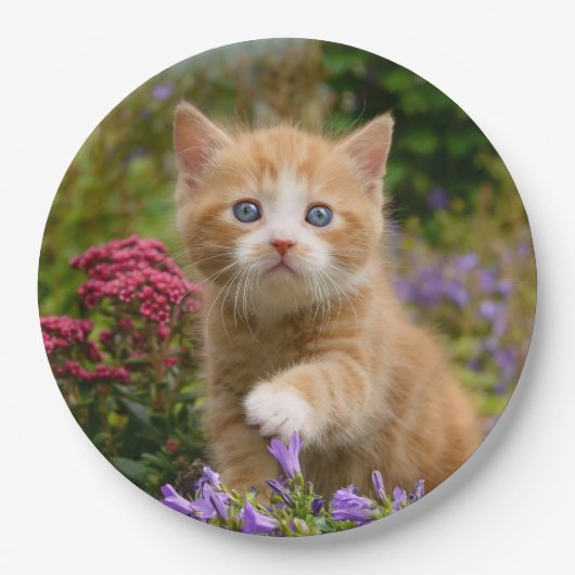 Niedlich Ginger Cat Kitten in a Garden, Happy Part Pappteller (Vorderseite)