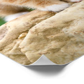 Niedlich Ginger Cat Kitten in Flower Garden Pet Fo Poster (Ecke)