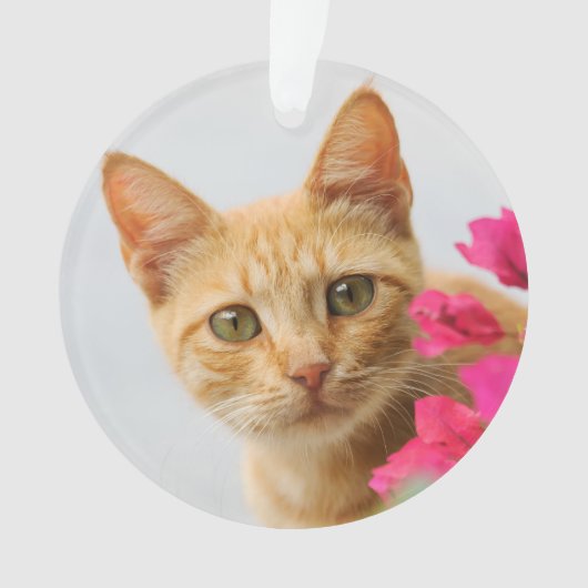 Niedlich Ginger Cat Kitten Rund um Acryl Ornament (Vorderseite)