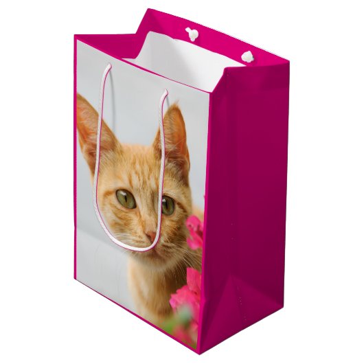 Niedlich Ginger Cat Kitten sieht Ihnen Portrait Fo Mittlere Geschenktüte