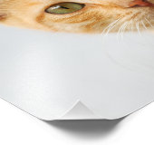 Niedlich Ginger Cat Kitten sieht Portrait - Fotodruck (Ecke)