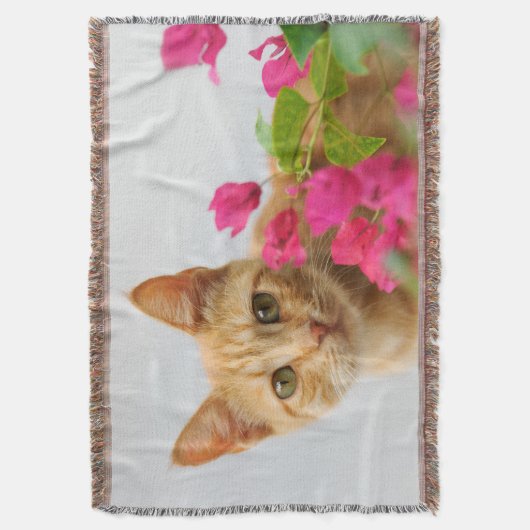 Niedlich Ginger Kitten beobachtet Sie Decke (Vorderseite Vertikal)