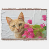 Niedlich Ginger Kitten beobachtet Sie Decke (Vorderseite)