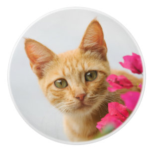 Niedlich Ginger Kitten, die Sie beobachten, dekora Keramikknauf
