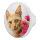 Niedlich Ginger Kitten, die Sie beobachten, dekora Keramikknauf (Rechts)