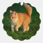 Niedlich Ginger Kitten Foto Ornament Karte (Rückseite)