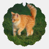 Niedlich Ginger Kitten Foto Ornament Karte (Vorderseite)