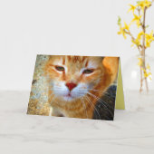 Niedlich Ginger Kitty Friendly Little Cat Karte (Gelbe Blume)