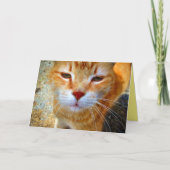 Niedlich Ginger Kitty Friendly Little Cat Karte (Vorderseite)