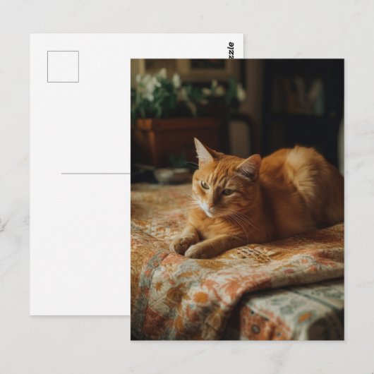 Niedlich Ginger Kitty Postcard Postkarte (Vorne/Hinten)