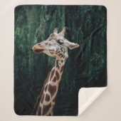 NIEDLICH GIRAFFE PORTRAIT SHERPADECKE (Vorderseite)